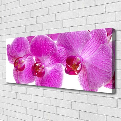 Canvas Wall art Flowers floral pink