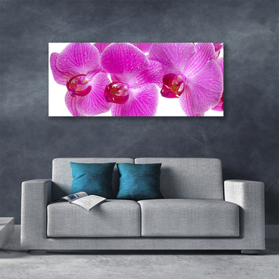 Canvas Wall art Flowers floral pink