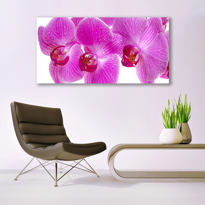 Canvas Wall art Flowers floral pink