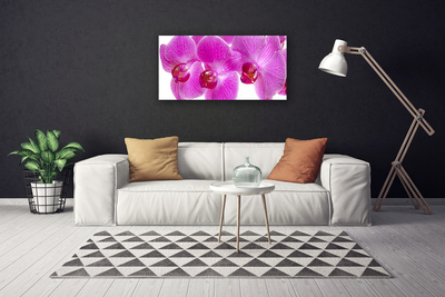 Canvas Wall art Flowers floral pink