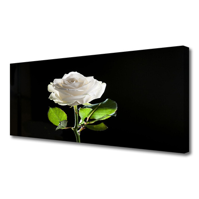 Canvas Wall art Rose floral white