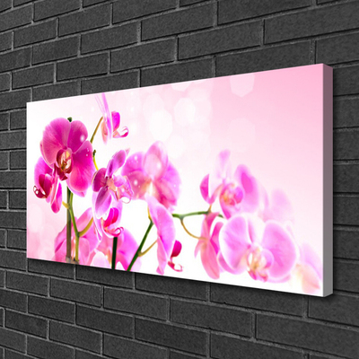 Canvas Wall art Flowers floral pink