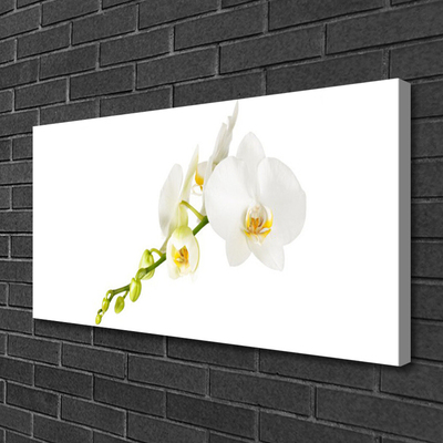 Canvas Wall art Flowers floral white