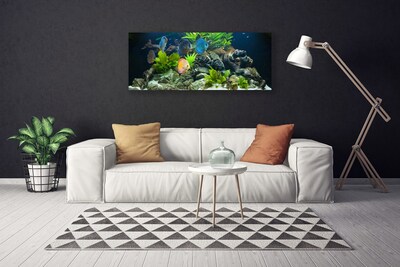 Canvas Wall art Fish stones leaves nature blue yellow grey green