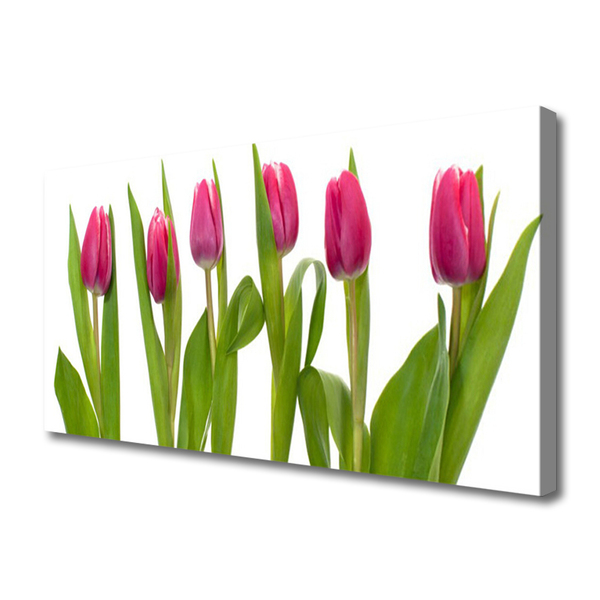 Canvas Wall art Tulips floral red