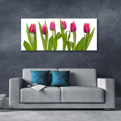 Canvas Wall art Tulips floral red