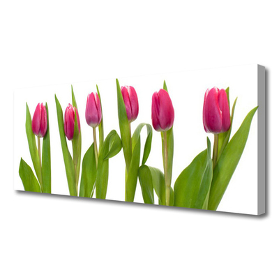 Canvas Wall art Tulips floral red