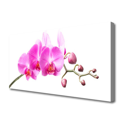 Canvas Wall art Flowers floral pink