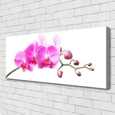 Canvas Wall art Flowers floral pink