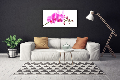 Canvas Wall art Flowers floral pink