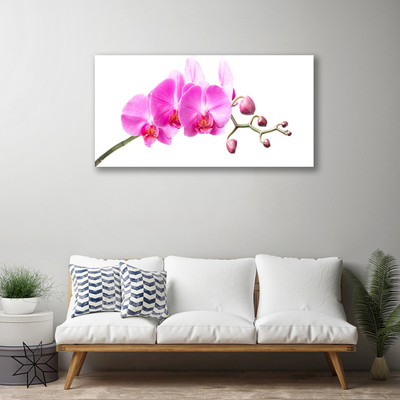 Canvas Wall art Flowers floral pink