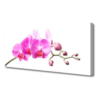 Canvas Wall art Flowers floral pink