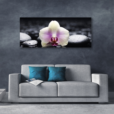 Canvas Wall art Flower stones floral pink white black