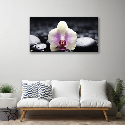 Canvas Wall art Flower stones floral pink white black