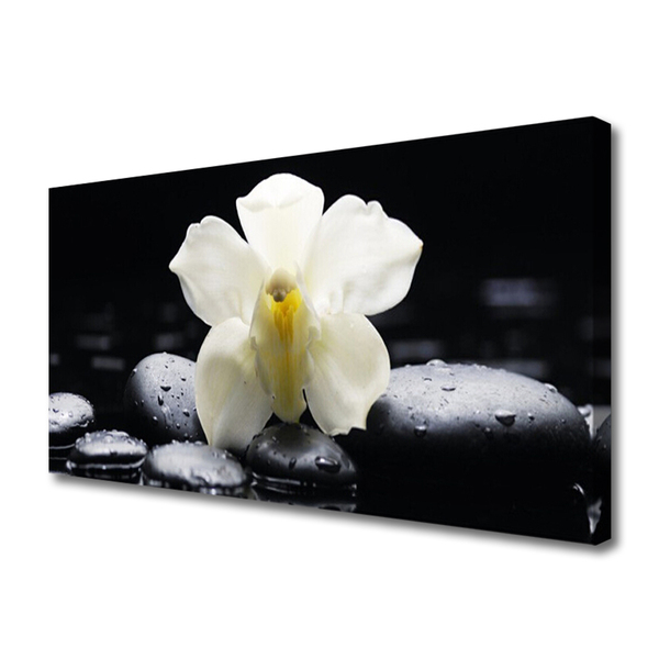 Canvas Wall art Flower stones floral white black