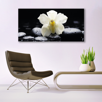 Canvas Wall art Flower stones floral white black