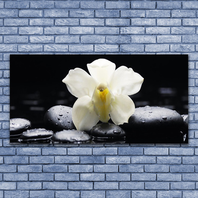 Canvas Wall art Flower stones floral white black