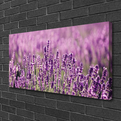 Canvas Wall art Flowers floral pink