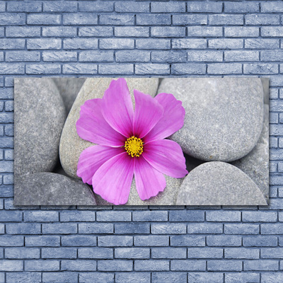 Canvas Wall art Flower stones floral pink grey