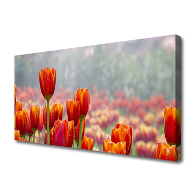 Canvas Wall art Tulips floral red