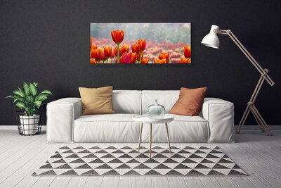 Canvas Wall art Tulips floral red