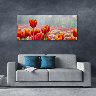 Canvas Wall art Tulips floral red