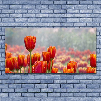 Canvas Wall art Tulips floral red