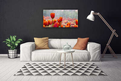 Canvas Wall art Tulips floral red