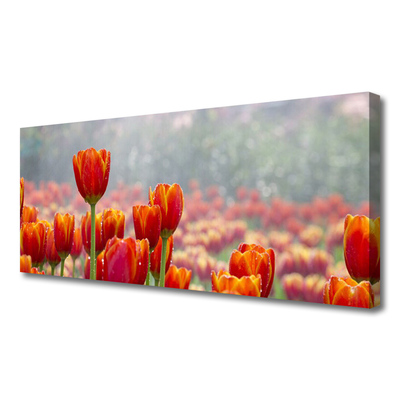 Canvas Wall art Tulips floral red