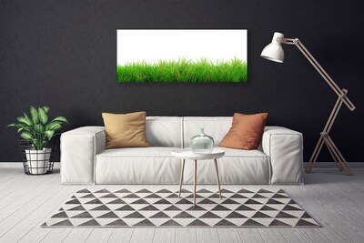 Canvas Wall art Grass nature green