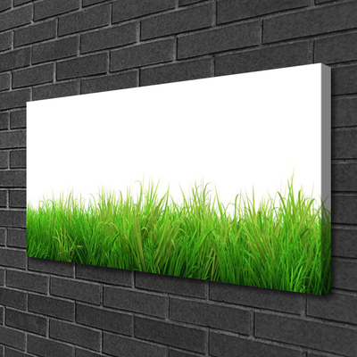 Canvas Wall art Grass nature green