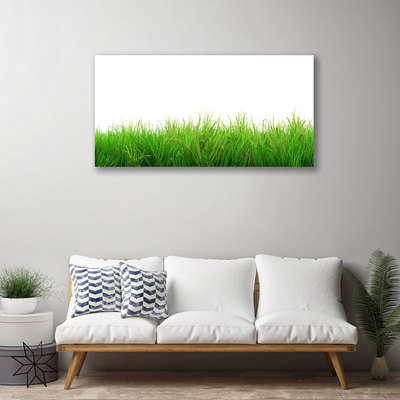 Canvas Wall art Grass nature green