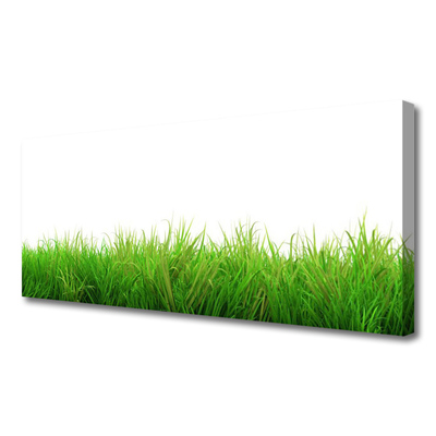 Canvas Wall art Grass nature green