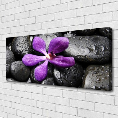 Canvas Wall art Flower stones art pink black