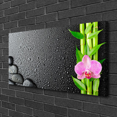 Canvas Wall art Bamboo stalk flower stones floral green pink black