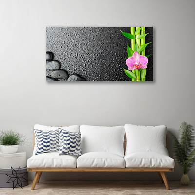 Canvas Wall art Bamboo stalk flower stones floral green pink black