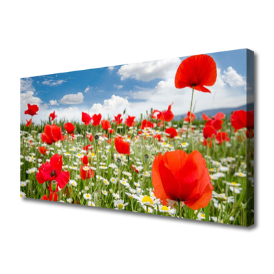 Canvas Wall art Meadow flowers nature red white green