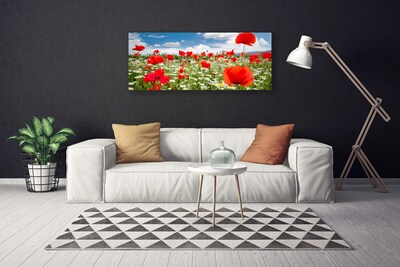 Canvas Wall art Meadow flowers nature red white green