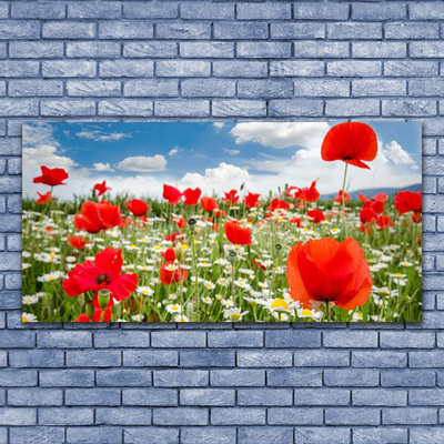 Canvas Wall art Meadow flowers nature red white green