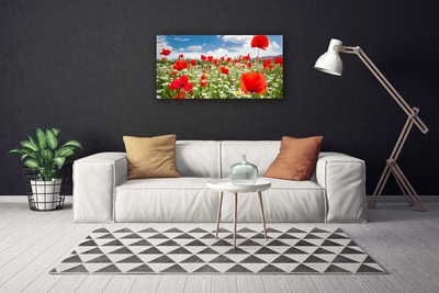 Canvas Wall art Meadow flowers nature red white green