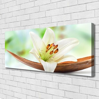 Canvas Wall art Flower floral white