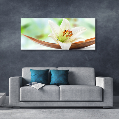 Canvas Wall art Flower floral white