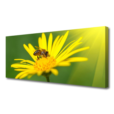 Canvas Wall art Wasp flower floral black yellow