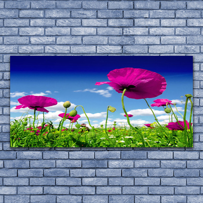 Canvas Wall art Meadow flowers nature red green