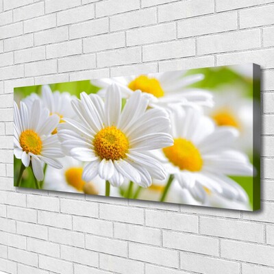 Canvas Wall art Daisy floral yellow white