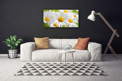 Canvas Wall art Daisy floral yellow white