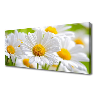 Canvas Wall art Daisy floral yellow white