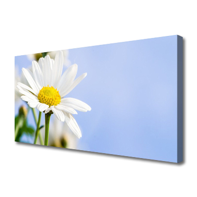 Canvas Wall art Daisy floral yellow white