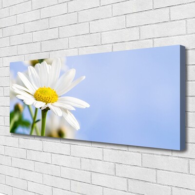 Canvas Wall art Daisy floral yellow white