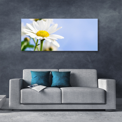 Canvas Wall art Daisy floral yellow white